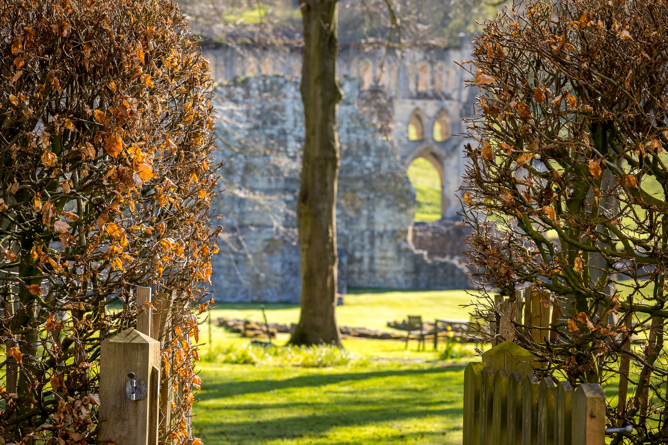 Access to site from Refectory Cottage