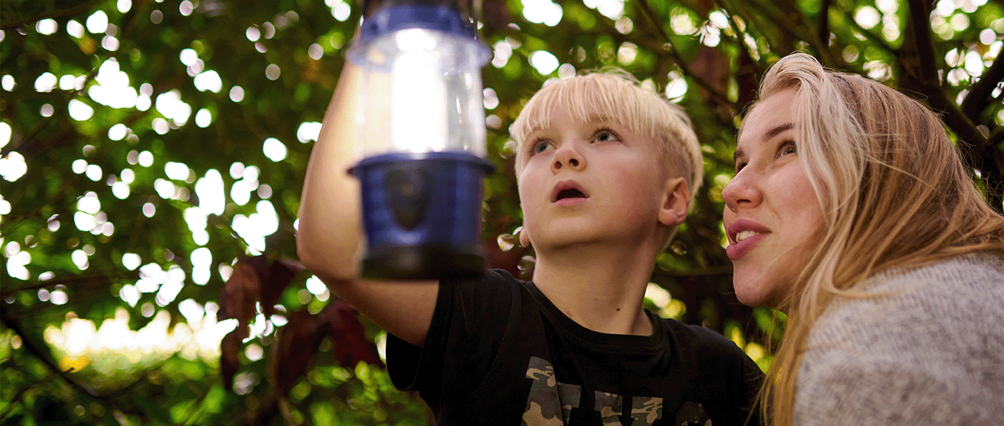 Photo of a young child holding a lantern and an adult looking up at something in a woodland in the autumn