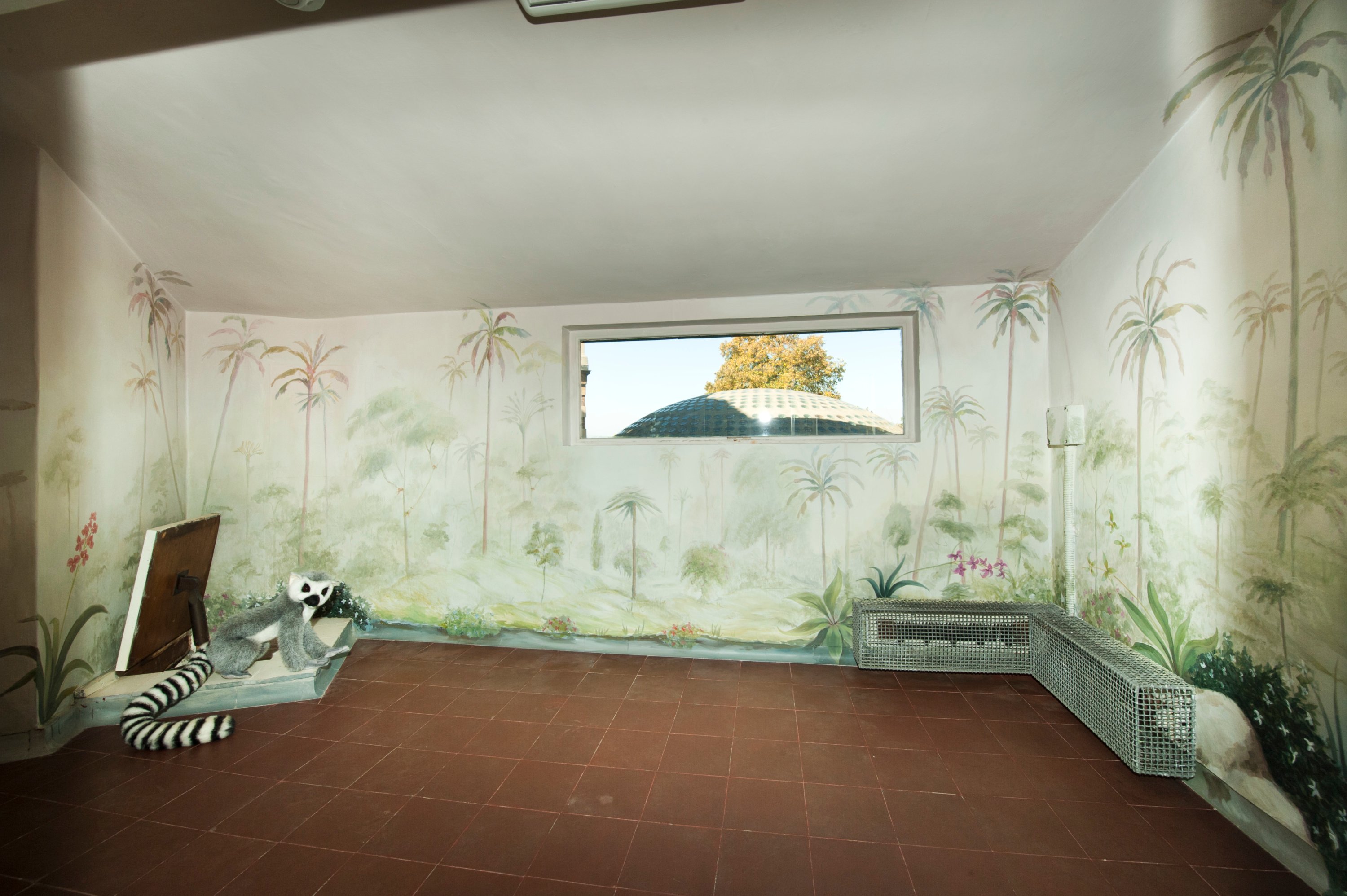 Image: Photo of the lemur cage at Eltham Palace in London