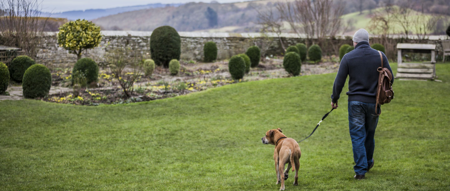 Dog Friendly Days Out | English Heritage