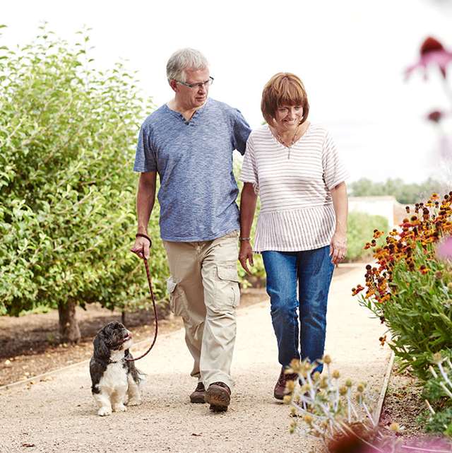 Dog friendly days out online east midlands