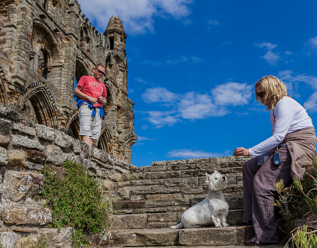 5 Unexpected UK Heritage Sites That Welcome Dogs | Dog-Friendly Adventures - gmedia