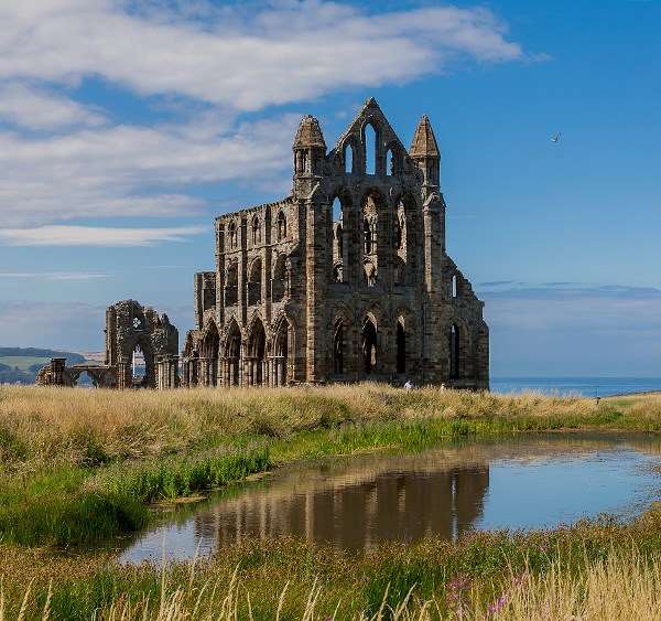 |✨| Ruined Abbey |✨| Tiny Glade Build