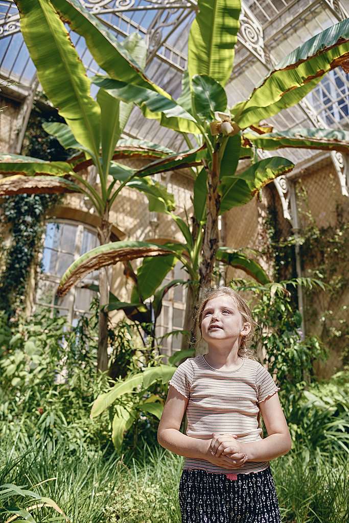 Image: A child in the conservatory at Wrest Park