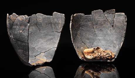 Burial urn found at Birdoswald