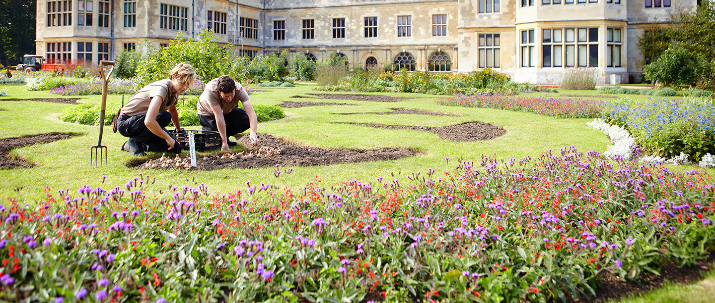 Audley End House & Gardens: Explore Historic Elegance
