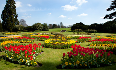 Spring at Audley End Spring at Audley End