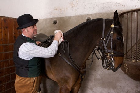 Horse and Groom pic for Audley End Stables Horse and Groom pic for Audley End Stables