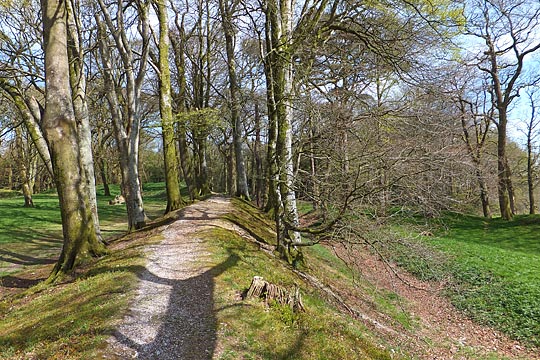 The rampart surrounding Blackbury Camp