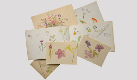 A skilled amateur artist, Sylvia Grant-Dalton often spent time sketching and painting flowers. Many of her watercolours remain at Brodsworth, including the selection shown here.