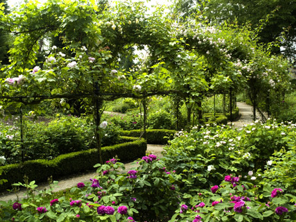 Brodsworth Hall's Rose Garden | English Heritage