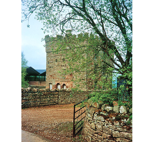 View of Clifton Hall from the entrance to the site, the hall partly obscured by a large tree next to the gate View of Clifton Hall from the entrance to the site, the hall partly obscured by a large tree next to the gate