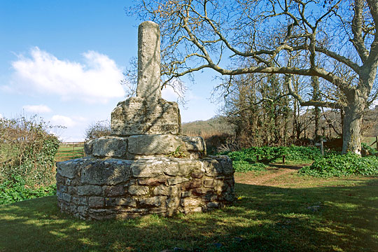 The truncated  Butter Cross in its leafy setting