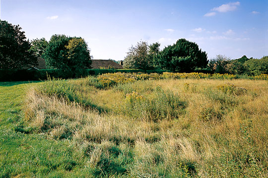 Flowerdown Barrows, seen from the south with housing in the background Flowerdown Barrows, seen from the south with housing in the background