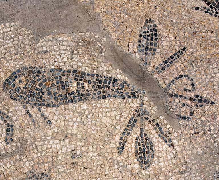 ‘Insect’ mosaic