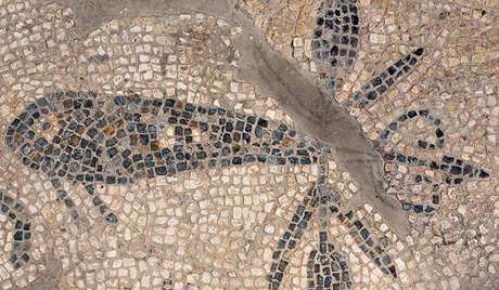 ‘Insect’ mosaic ‘Insect’ mosaic