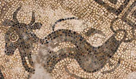 Sea bull mosaic Sea bull mosaic