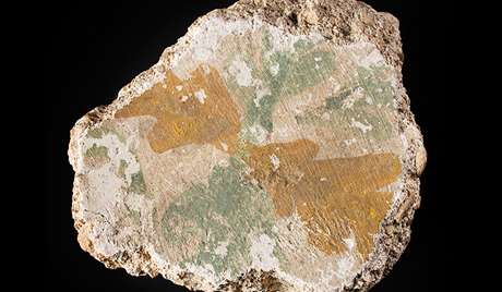 Wall plaster Wall plaster