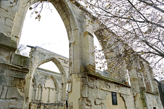 View of the remains of the friary church, its roof open to the sky and a tree in blossom in the foreground