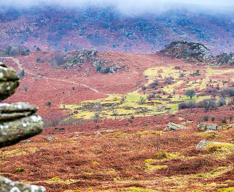 Audio Guide to Hound Tor Deserted Medieval Village English Heritage