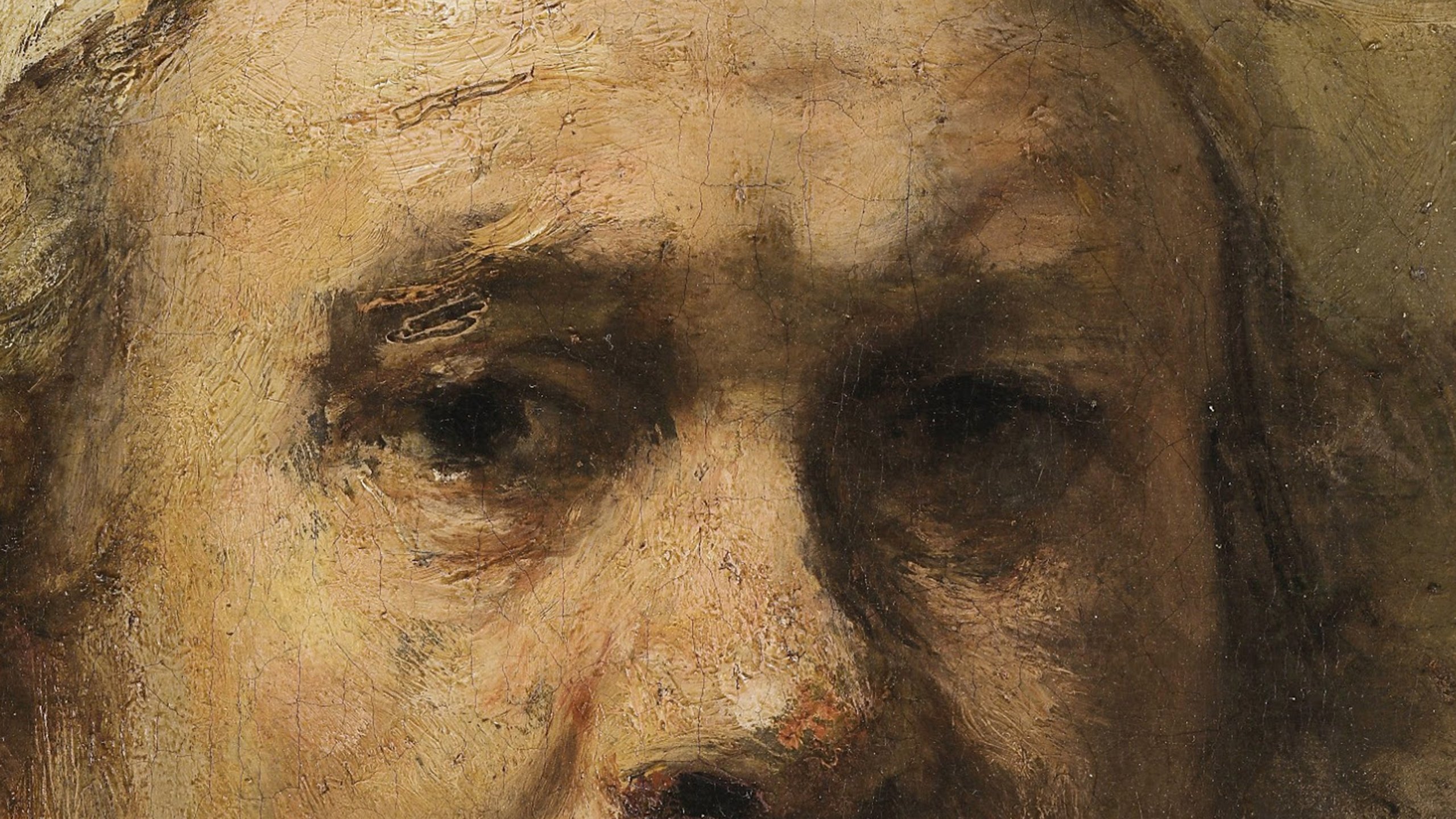 Rembrandt self portrait 1665