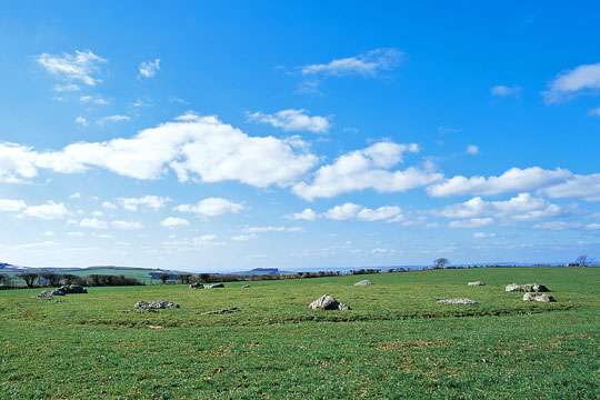 The Kingston Russell stone circlesitting in a field planted to grass, crisp blue sky above