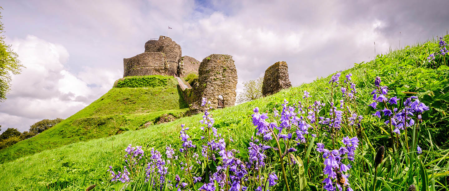 Launceston Castle with flowers in the foreground