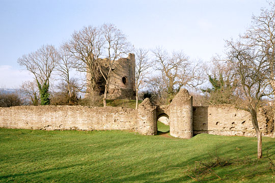 The keep and curtain wall of Longtown Castle The keep and curtain wall of Longtown Castle