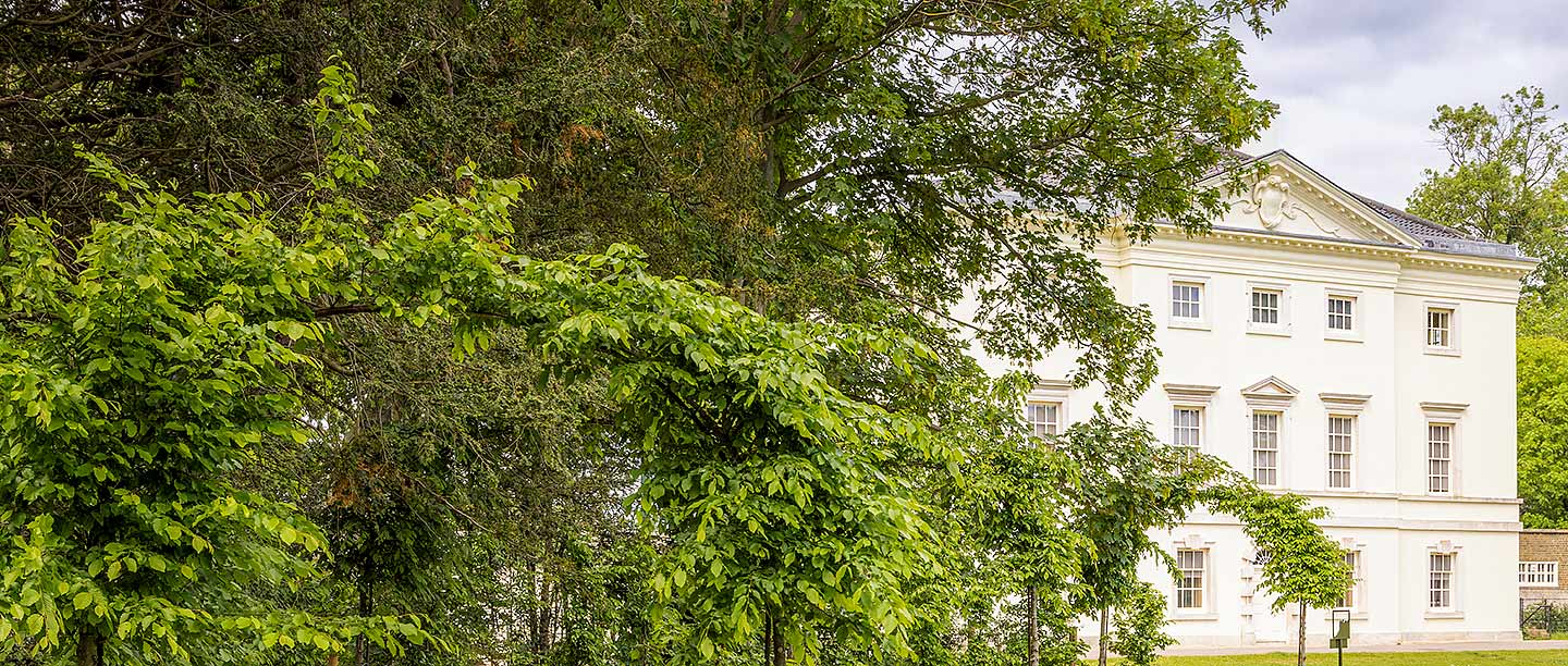 Marble Hill in 2022 after conservation