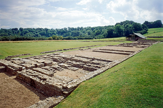 The ruins of the Roman villa at North Leigh with woodland beyond