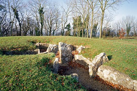 Nympsfield long barrow revealing the layout of the burial chambers