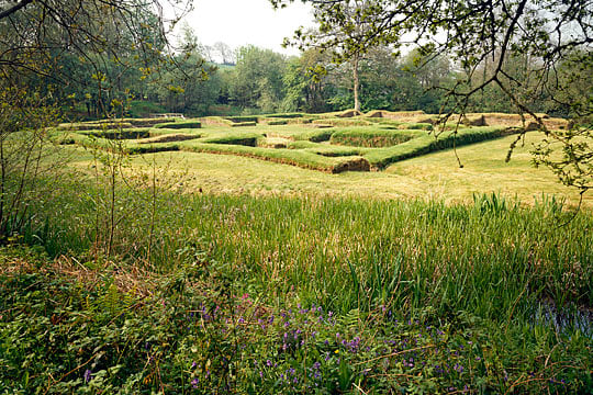 The low ruins of Andrew de Cardinham’s moated manor house, bluebells and other wildflowers in the foreground