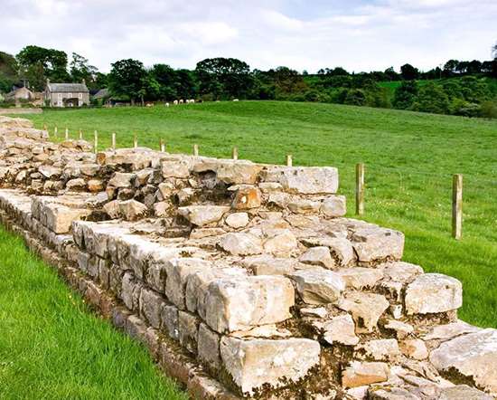 Planetrees Roman Wall - Hadrian's Wall