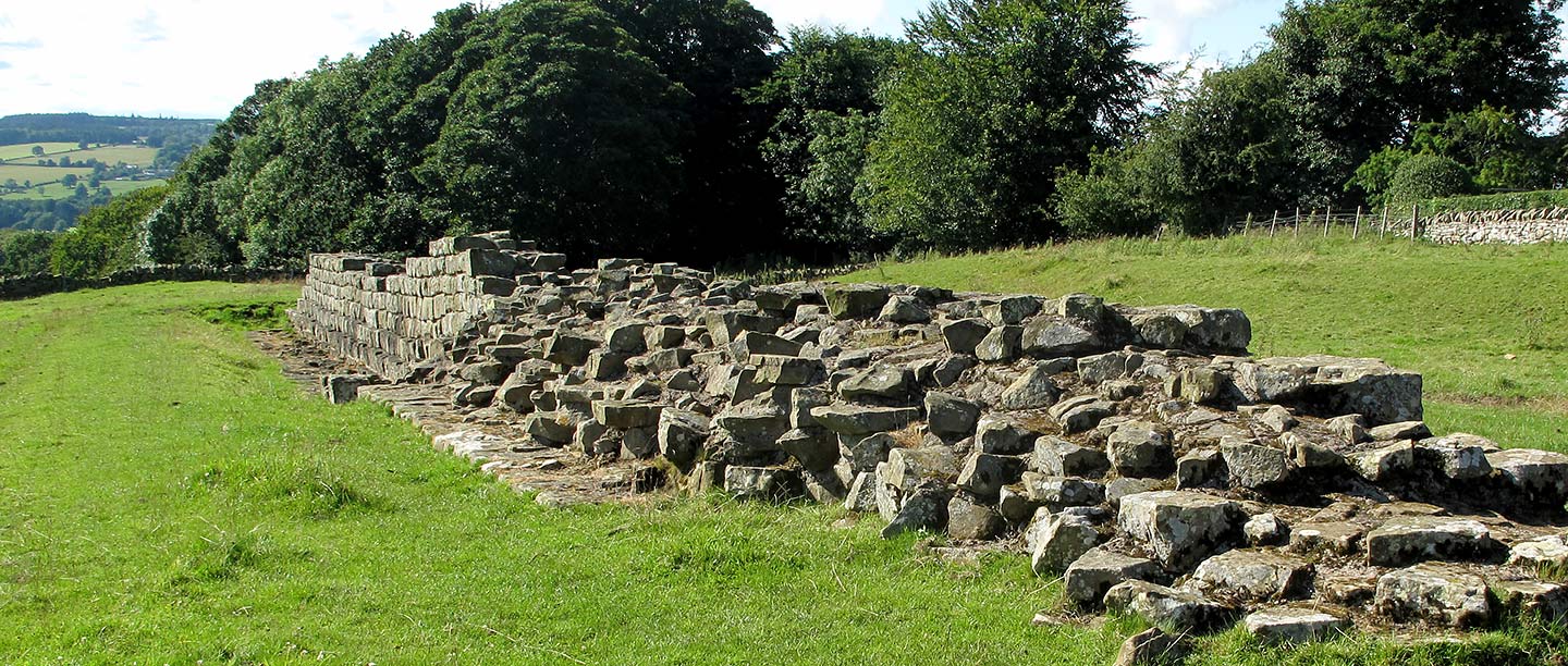 Planetrees Roman Wall