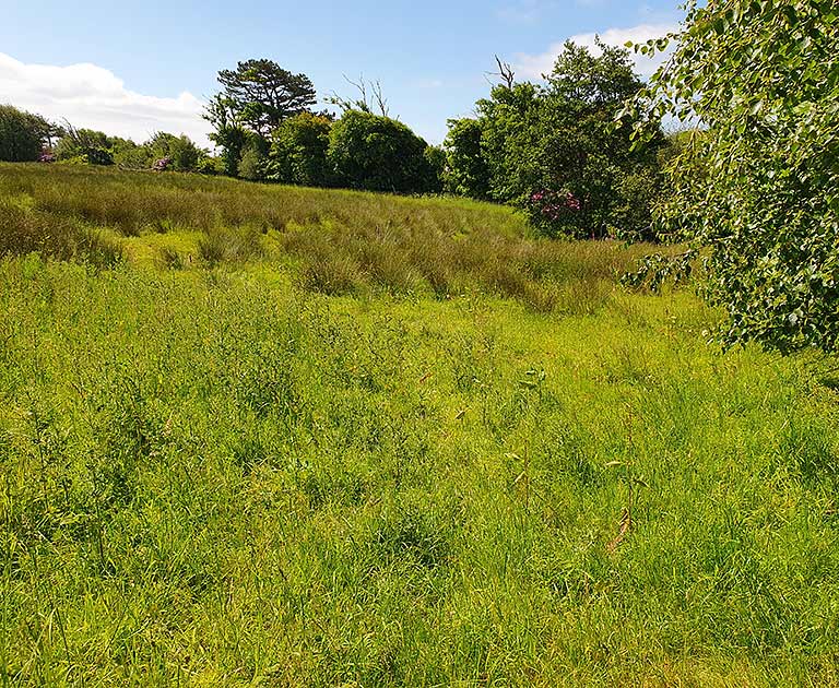 The site of the fort