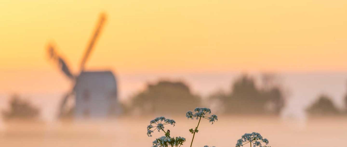 A view of the outline of the windmill sails in soft focus in the distance against a warm sunrise sky