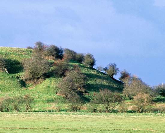 Skipsea Castle