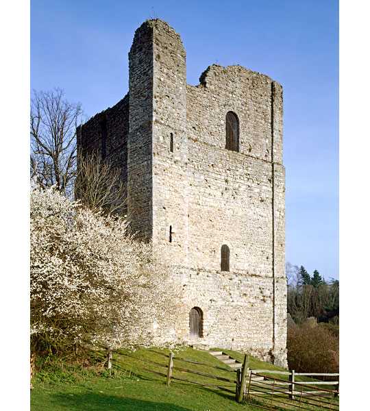 The substantial remains of St Leonards Tower viewed from the west, with a tree in the foreground in full spring blossom