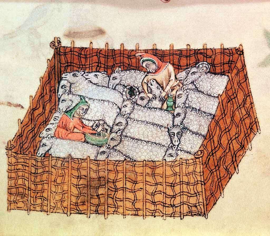 Sheep and shepherds in a pen, depicted in a 14th-century manuscript