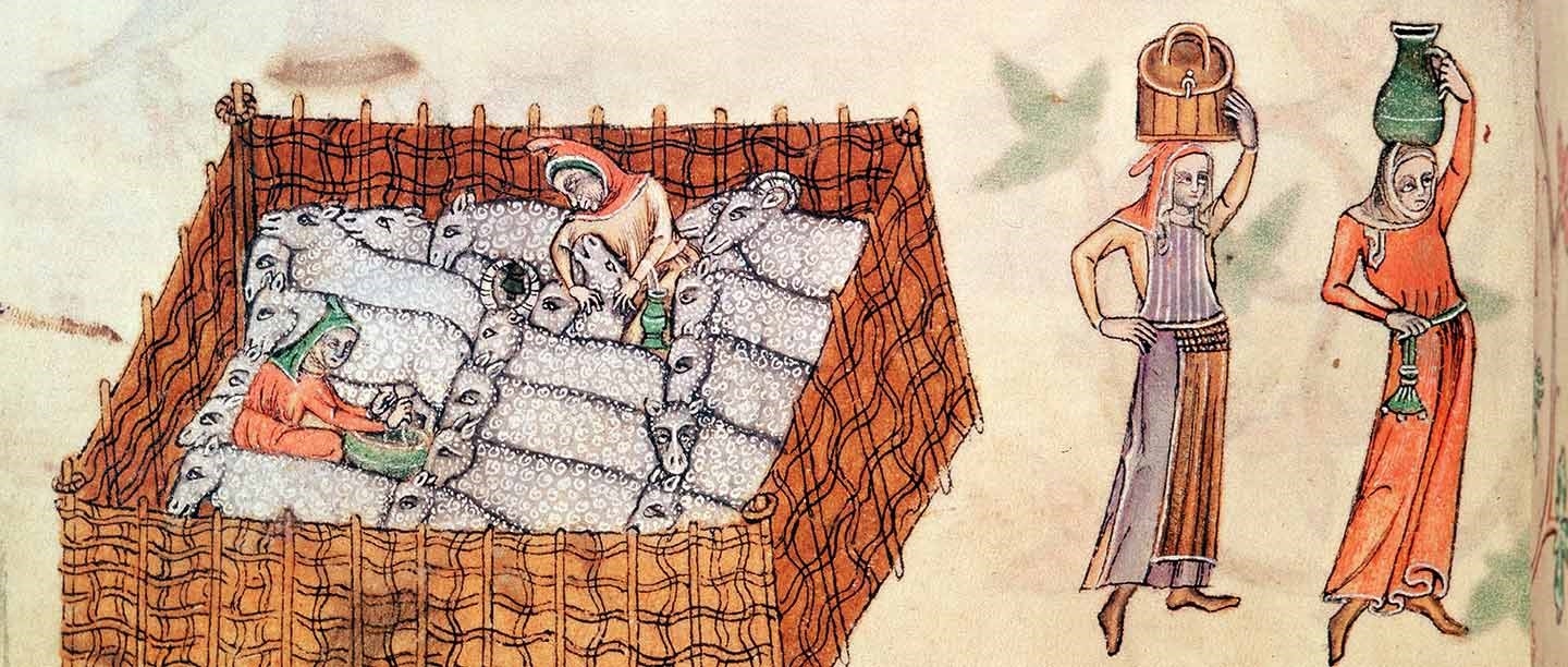 Sheep and shepherds in a pen, depicted in a 14th-century manuscript