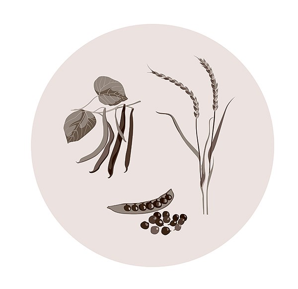 Types of food available in the Bronze Age