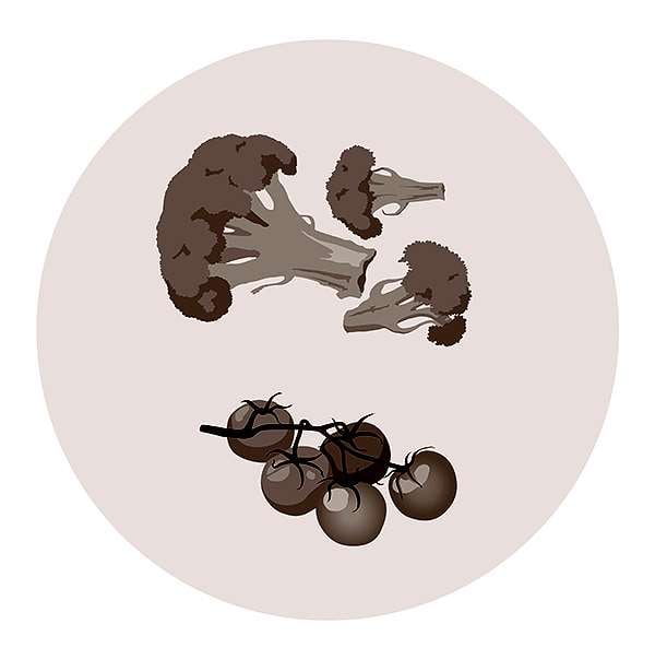 Types of food available in modern times