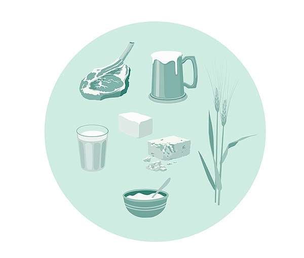 Types of food available in the Neolithic Types of food available in the Neolithic