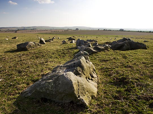 Sarsen stones lying on the Marlborough Downs Sarsen stones lying on the Marlborough Downs