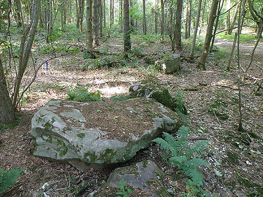 Sarsen stones at West Woods, the probable source area for most of the sarsen used to construct Stonehenge Sarsen stones at West Woods, the probable source area for most of the sarsen used to construct Stonehenge