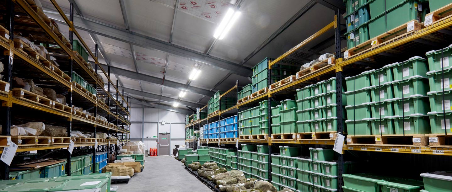 A view of the Temple Cloud Archaeology Store with rows of shelves with green boxes filled with artefacts.
