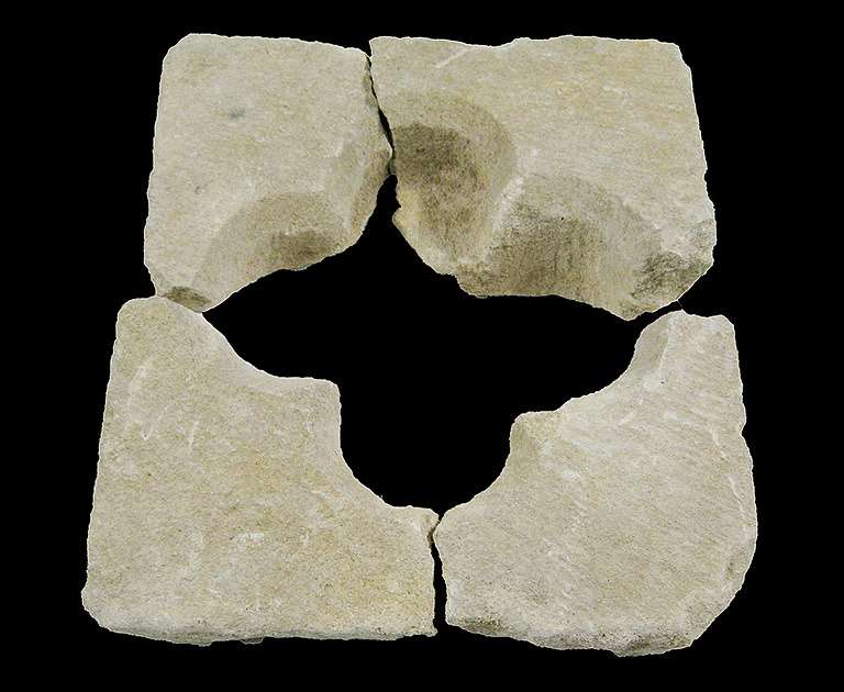 Quatrefoil Quatrefoil
