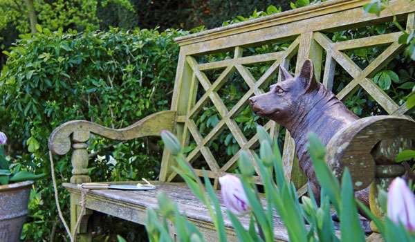 A statue of a royal corgi in the Queen Mother's Garden A statue of a royal corgi in the Queen Mother's Garden