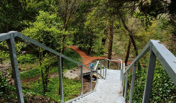 A view of the Glen from the newly installed staircase