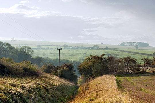 The ancient holloway track leading into Wharram Percy